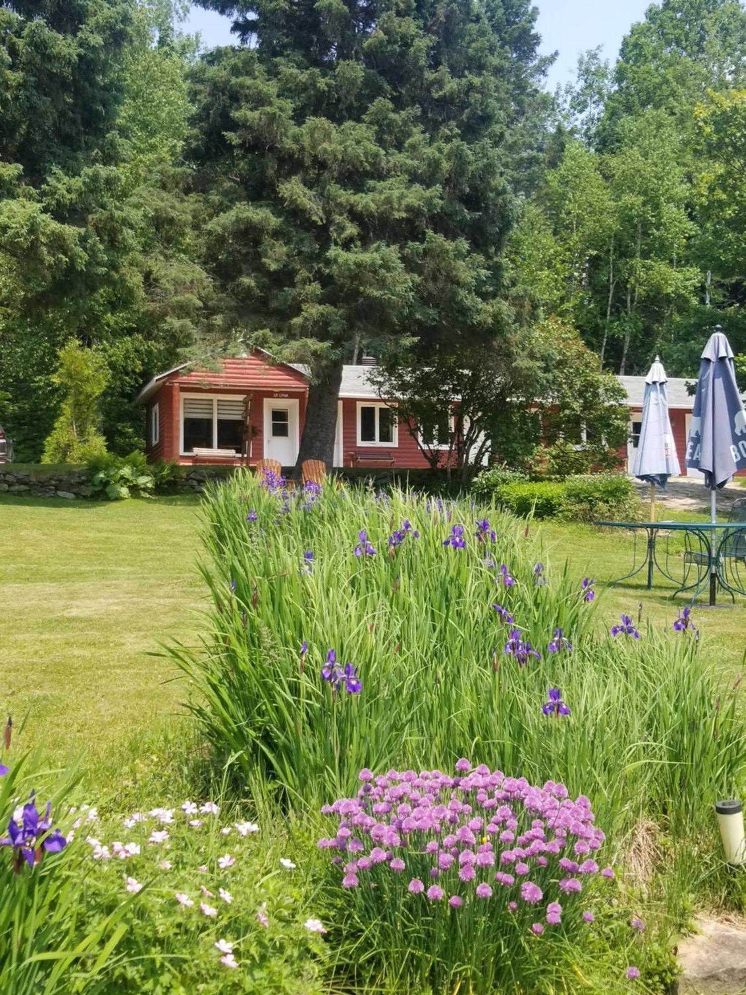 Kan-A-Mouche Pourvoirie Auberge Et Chalets Saint-Michel 部屋 写真